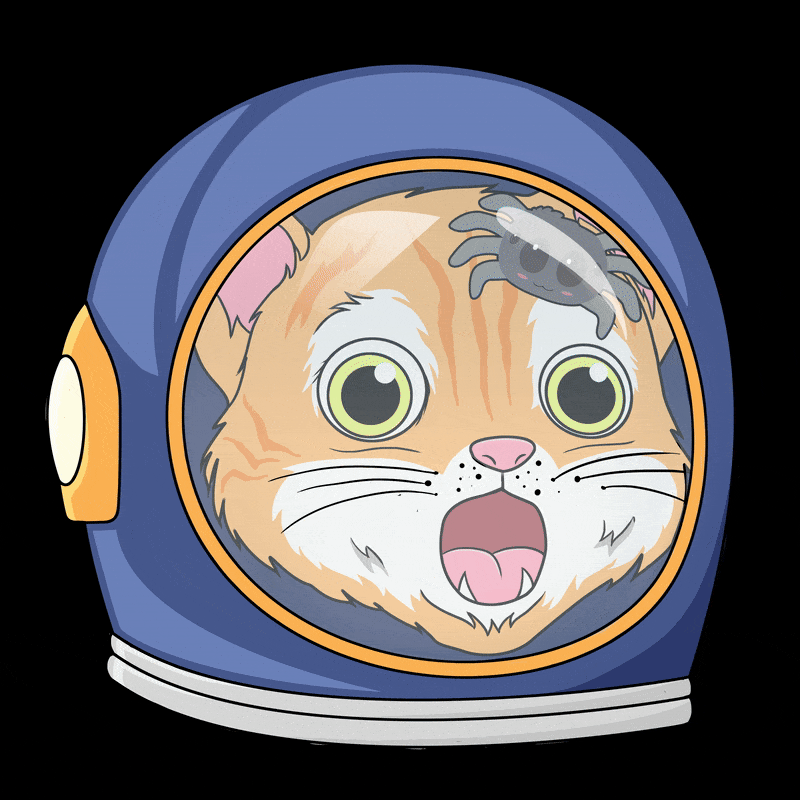 orbikitty